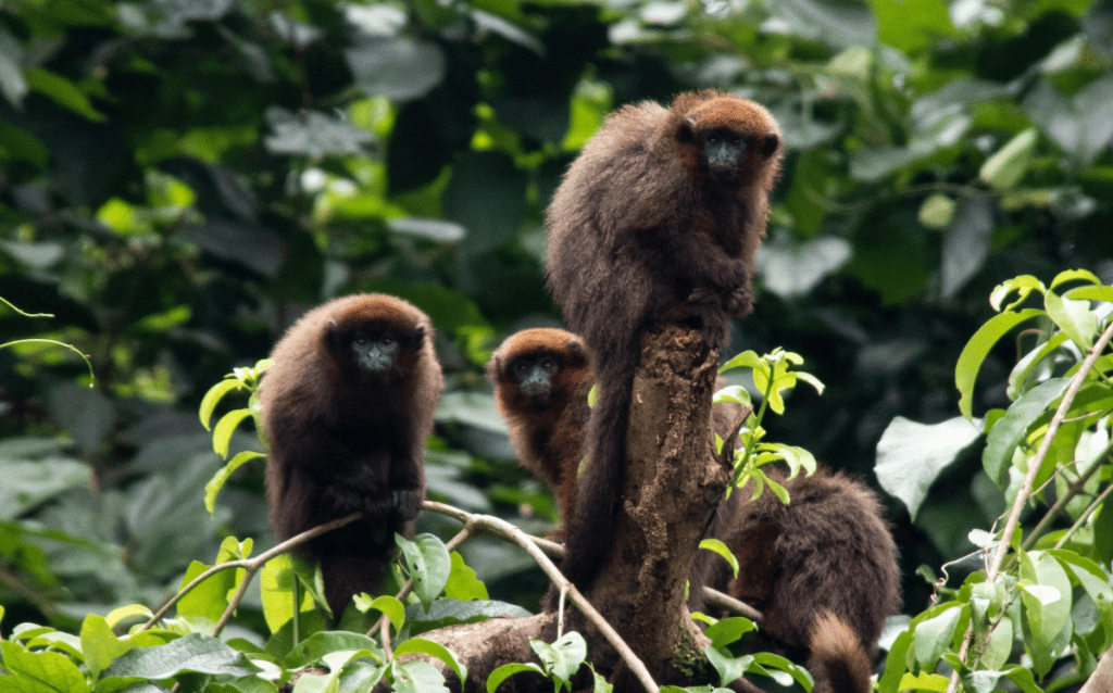 luxury travel destinations