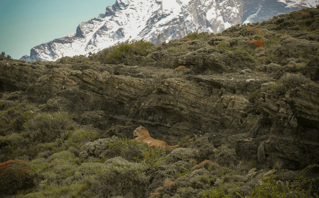 luxury travel destinations